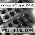 Kamagra À Croquer 100 Mg viagra2
